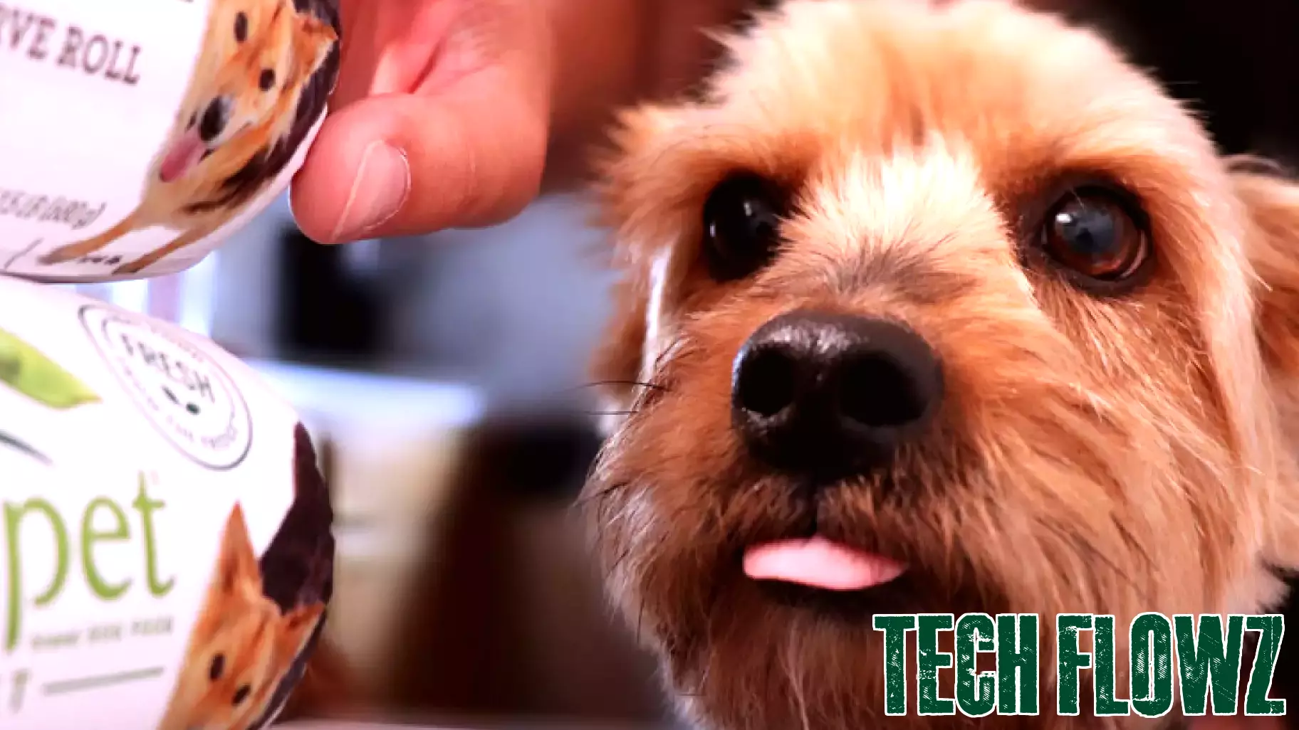 Assessing Align Technology's Current Valuation Amidst Share Price Challenges