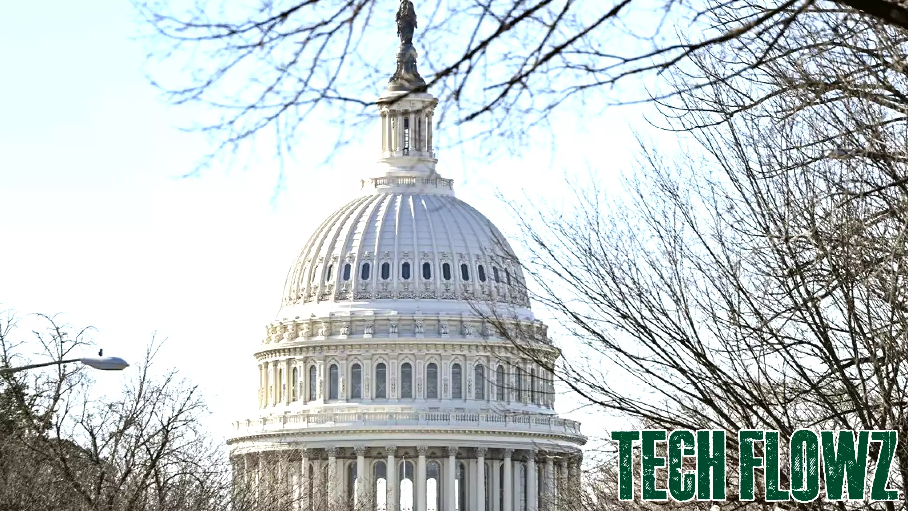 Call for a Revamp of Federal IT Acquisitions to Prevent Wasteful Spending