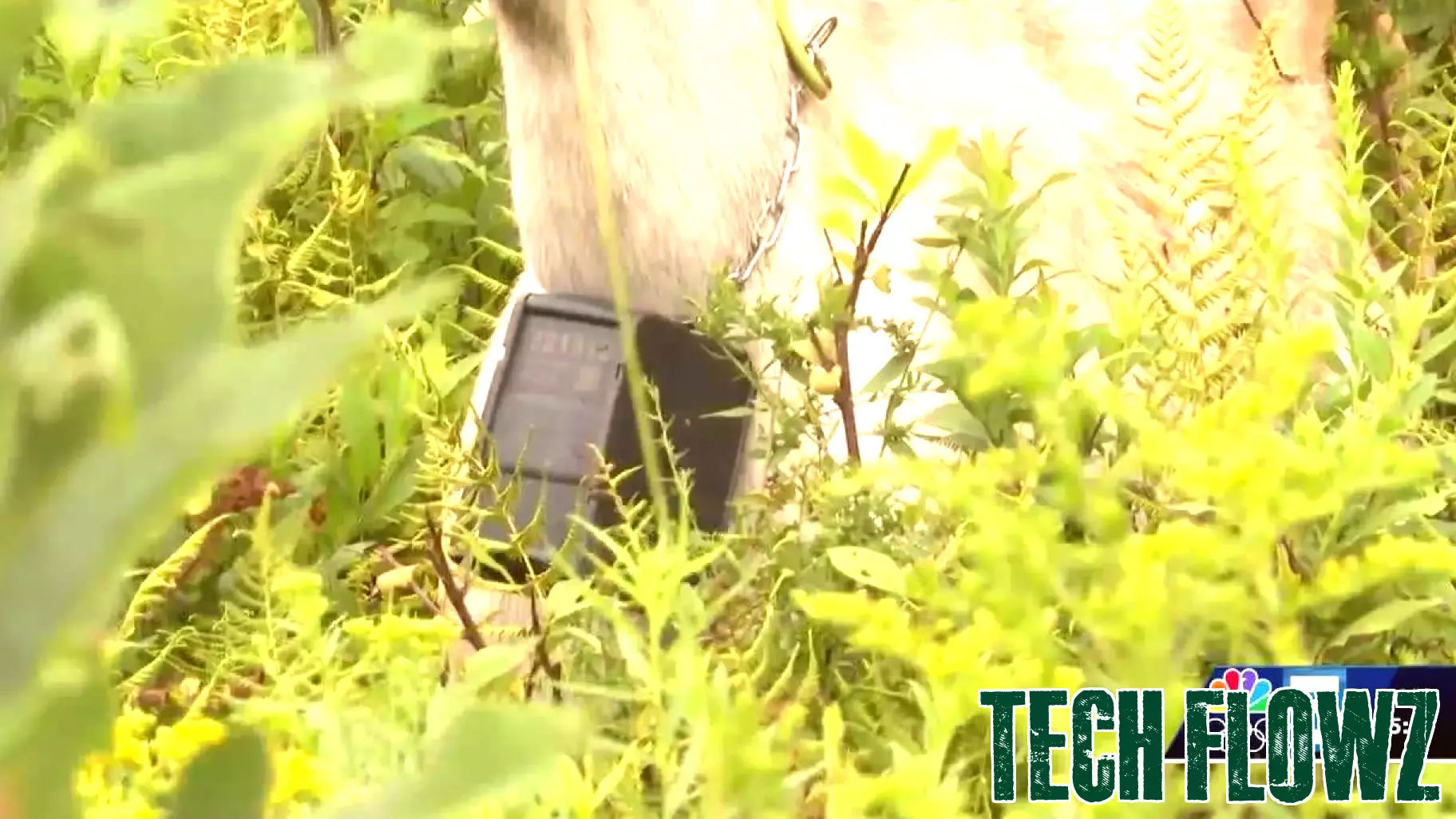 Innovative Technologies Revolutionizing Vermont's Agriculture Sector