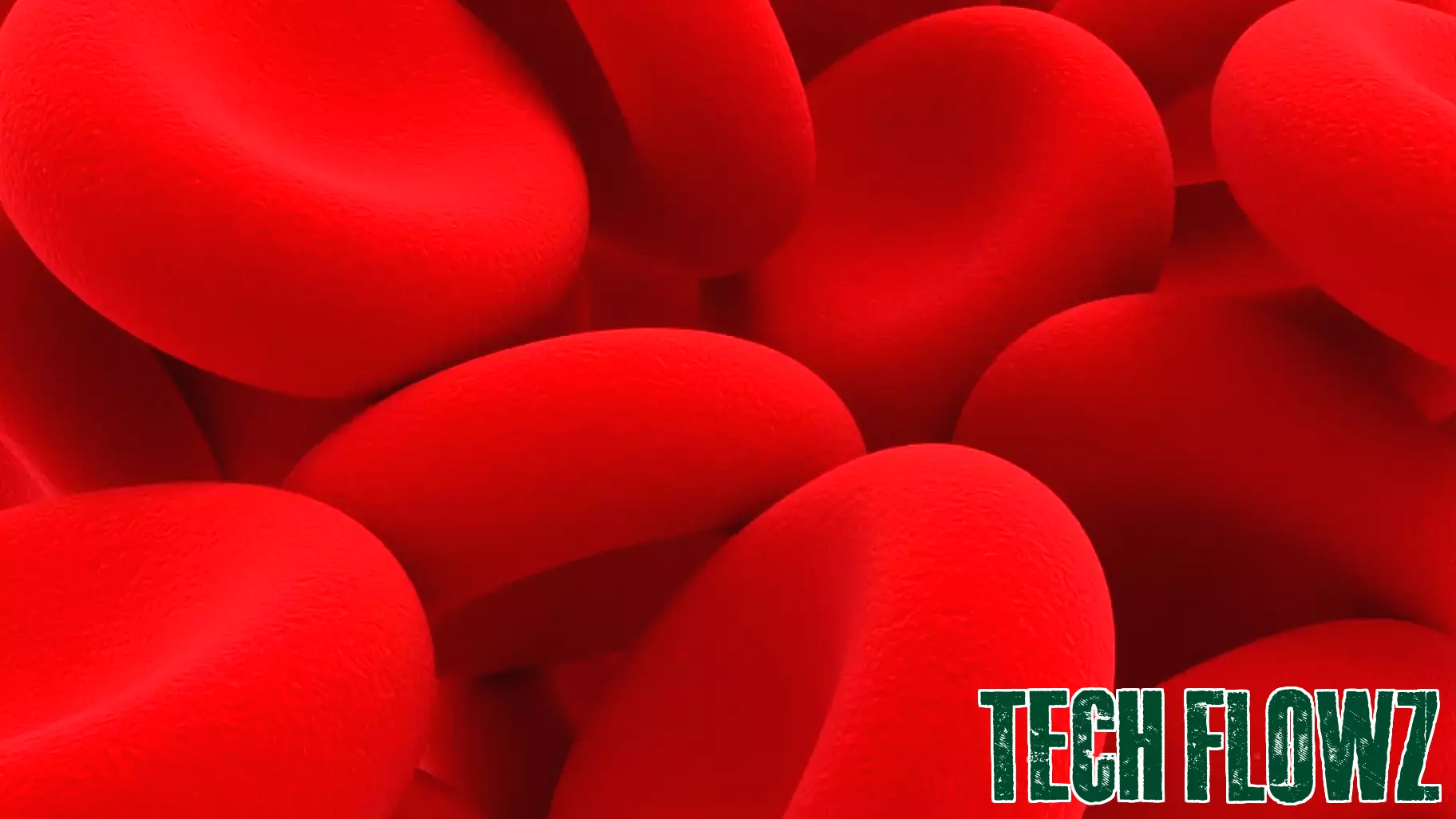Miraqules Unveils Innovative Blood Clotting Technology at TechCrunch Disrupt 2025