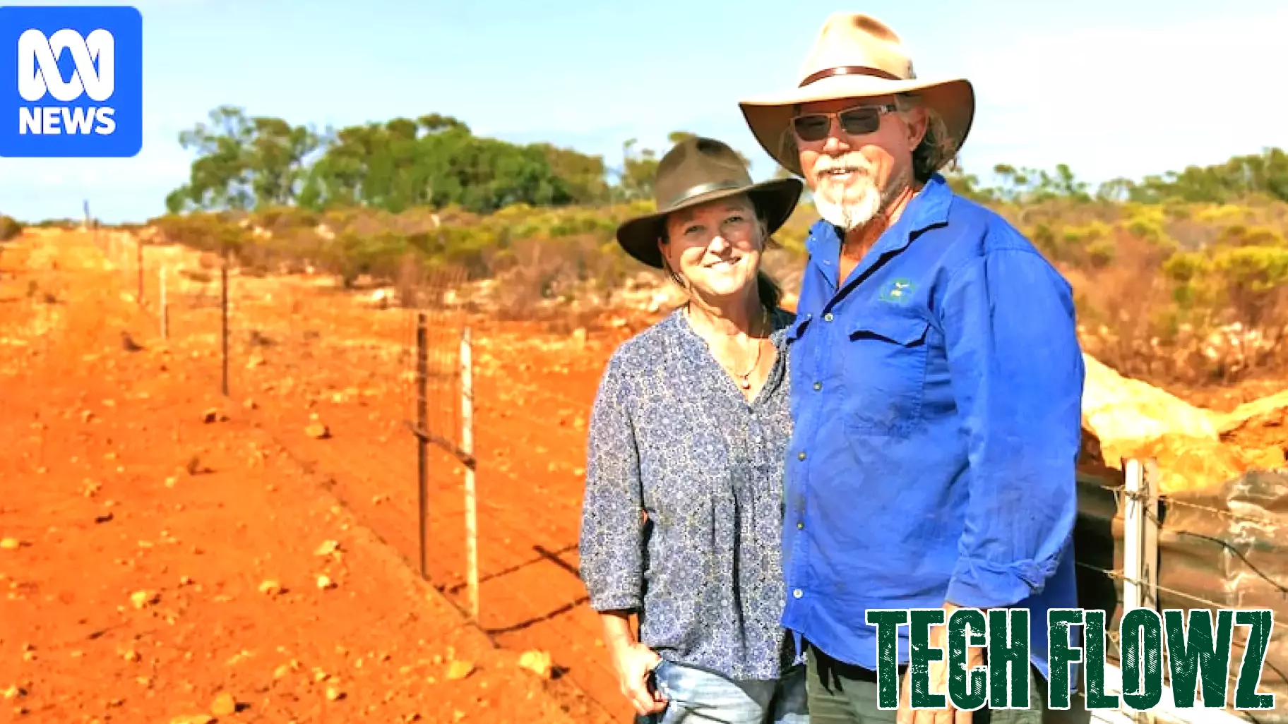 Nine-kilometre outback goat trap catching thousands and paying for itself