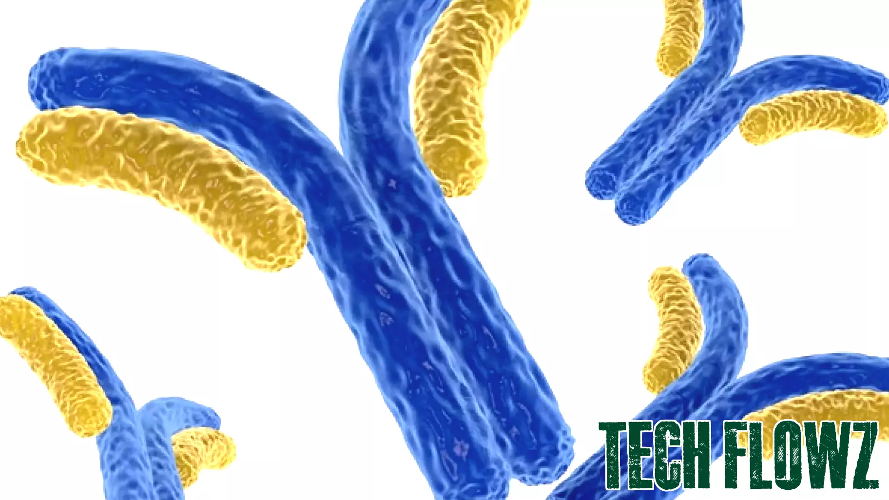 Revolutionary Advancement in Antibody Analysis Promises Speed and Cost Efficiency