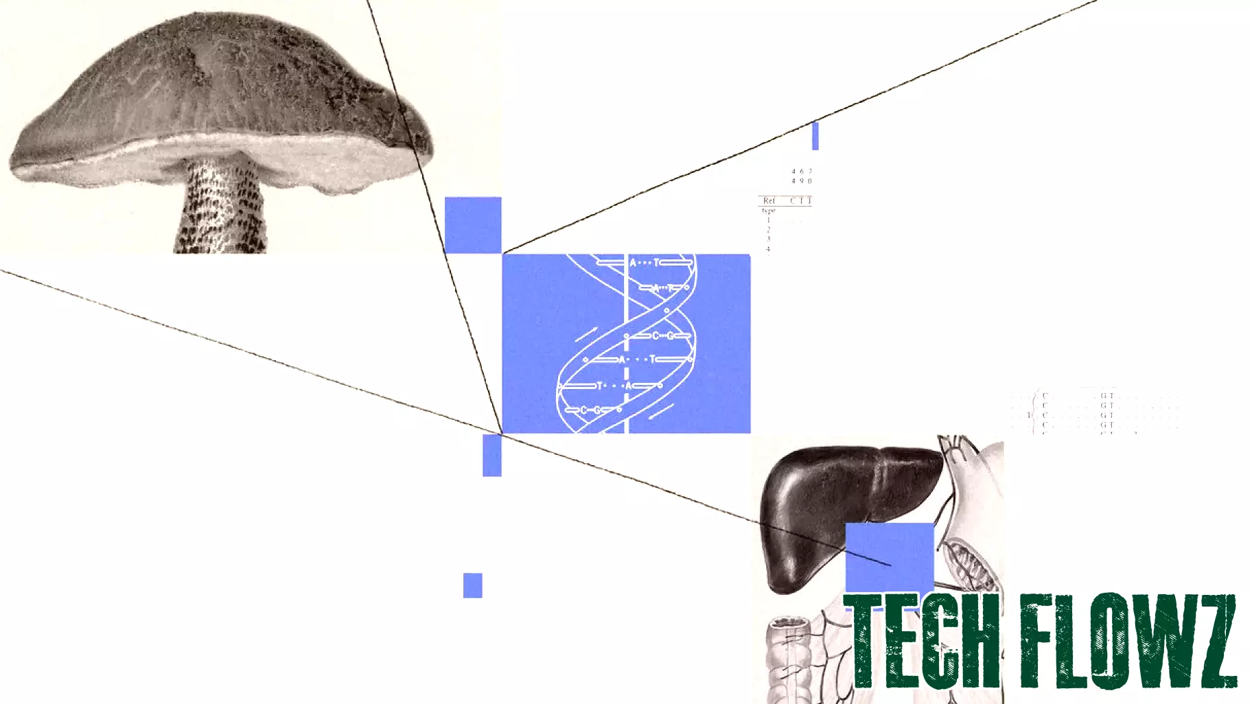 The Future of Gene Editing: A Journey Towards Mastery