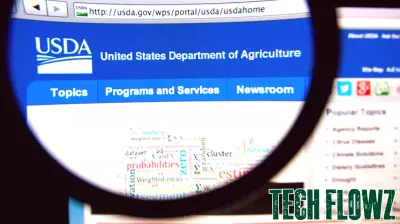 $1B from Technology Modernization Fund Has Produced under $14M in Savings, GAO Says