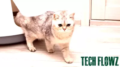 AI Revolutionizes Cat Care with Self-Cleaning Litter Box