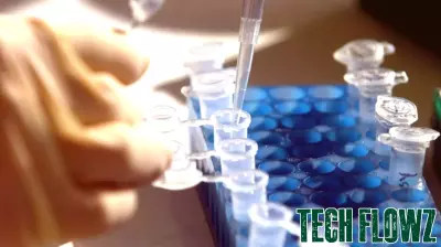 Breakthrough in DNA Technology Leads to Progress in 2017 Novato Rape Case