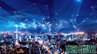 Bridging Gaps in Innovation: The Science and Technology Innovation Program