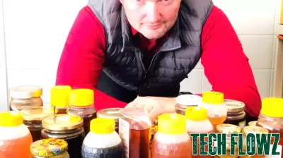 Combating Honey Fraud Through Innovative AI Solutions