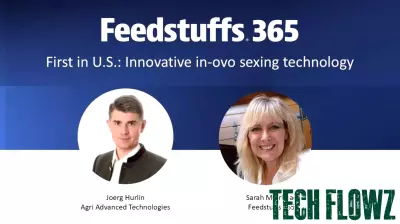 Groundbreaking In-Ovo Sexing Technology Revolutionizes Egg Industry
