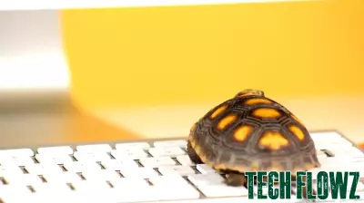 Human Biology: A Model for Energy-Efficient Computing