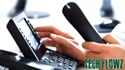 HUMAN TECHNOLOGY Co., Ltd Shareholders Face Significant Losses as Shares Plummet