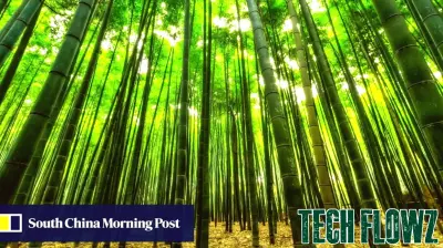 Innovative Bamboo Technologies Pave the Way for Sustainable Engineering
