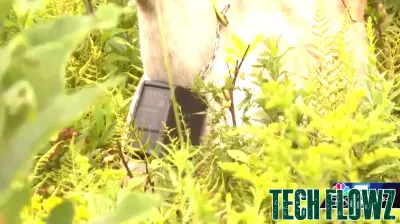 Innovative Technologies Revolutionizing Vermont's Agriculture Sector