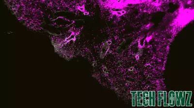 Revolutionary Technology Visualizes Nanocarriers in Biological Systems
