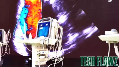 Tactile Systems Technology: Analyzing the Stability in Market Valuation